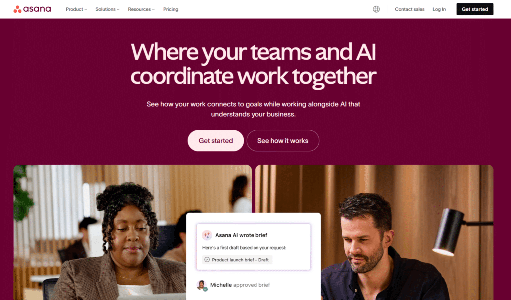 asana screenshot
