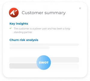 customer summary