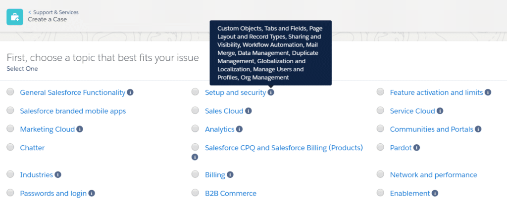 salesforce example